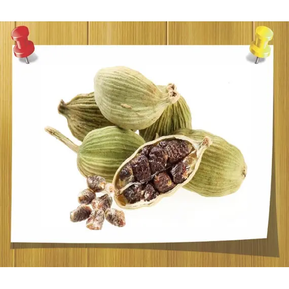 Эфирное масло Кардамона Elettaria cardamomum 5 мл, Volume, ml: 3 ml, изображение 2