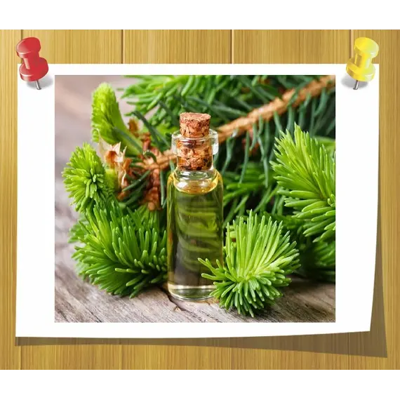 Ефірна олія Кедра 5 мл, Об `єм: 5 мл, зображення 2