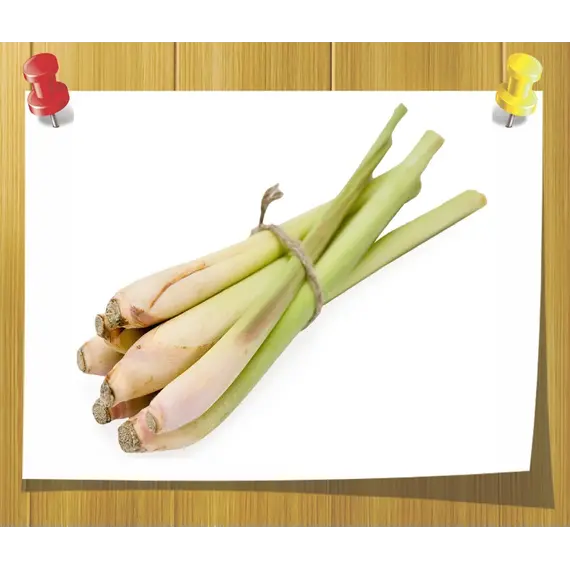 Лемонграсу ефірне масло Lemongrass, Об `єм: 5 мл, зображення 2