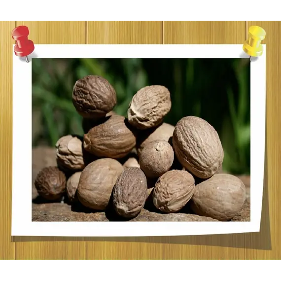 Ефірна олія квітів Мускатного горіха 5 мл, Об `єм: 5 мл, зображення 2