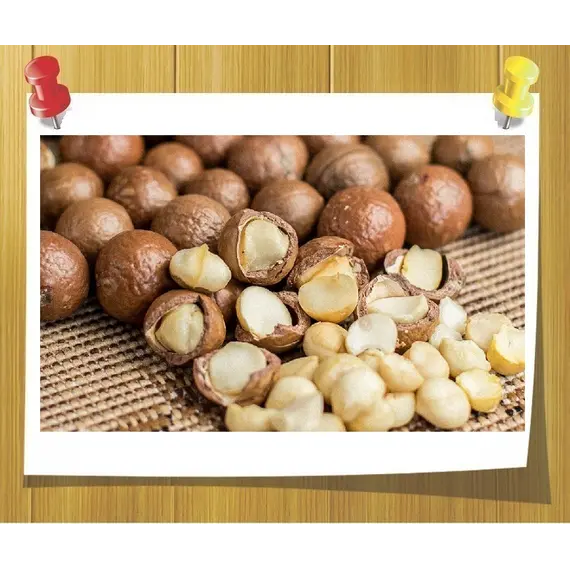 Масло Макадамии опт, Об `єм: 1 л