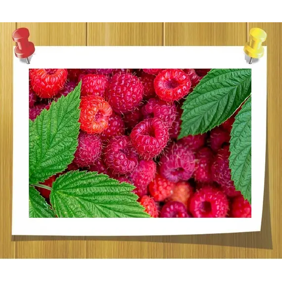 Отдушка дикая Малина для бомбочек