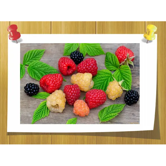 Малиновий альдегід