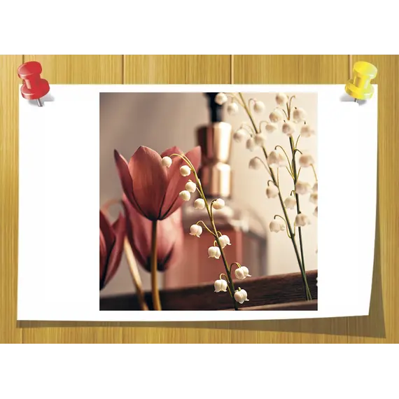 Aquaflora IFF, Volume, ml: 3 ml