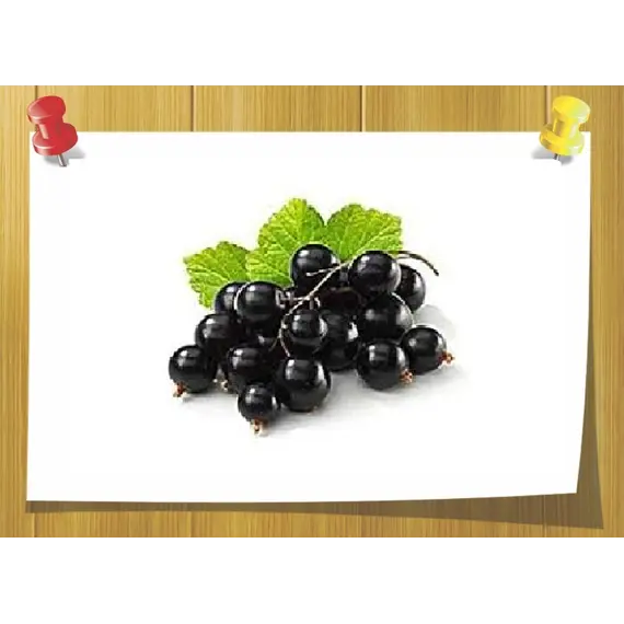 Cassiffix, Volume, ml: 2 ml 