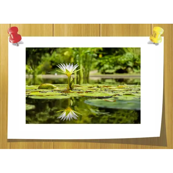 Cis-3 Hexenyl Salicylate (Цис-3 Гексенил Салицилат), Volume, ml: 3 ml