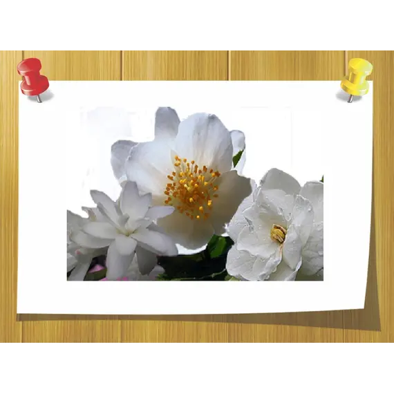 Гексилкоричный альдегид