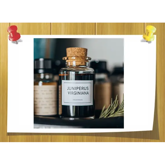 Ефірна олія Кедра вірджинського Juniperus virginiana 5 мл, Об `єм: 3 мл, Концентрація: 100% Pure