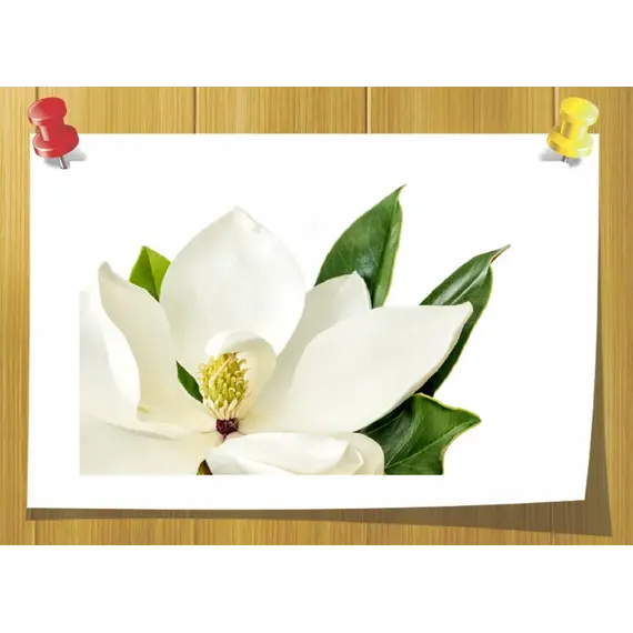 Meijiff, Volume, ml: 3 ml