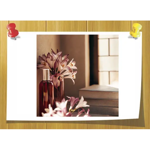 Methyl Ionone Gamma Coeur, Volume, ml: 3 ml