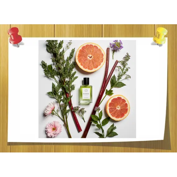 Rhubofix 978880 Firmenich, Об `єм: 3 мл