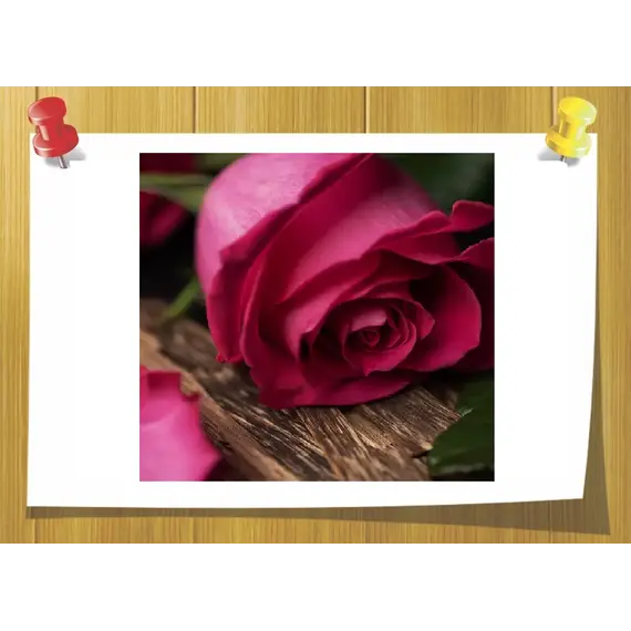 Аромамасло Роза и удовое дерево (Rose and Oud), Volume, ml: 5 ml