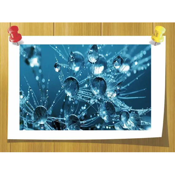 Трегалоза, Вага: 50 гр