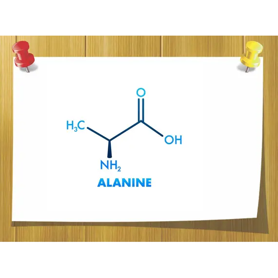 Амінокислота Alanine 10 гр, Вага: 10 гр