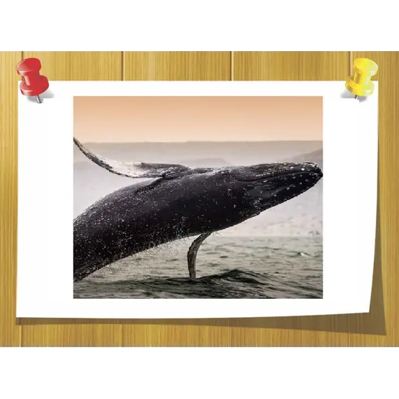 Акорд амбровий