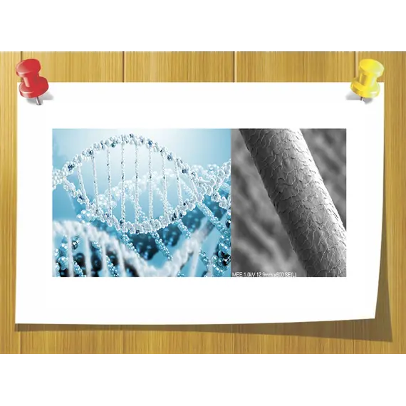 Аспарагиновая кислота, Weight: 10 гр