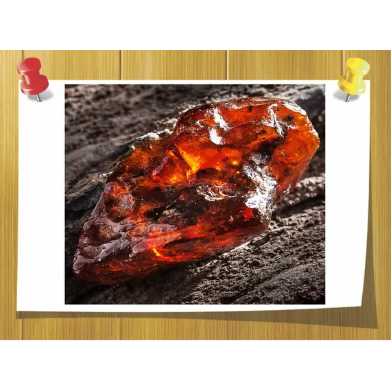 Аmberwood® f 600113 Symrise, Weight: 3 гр