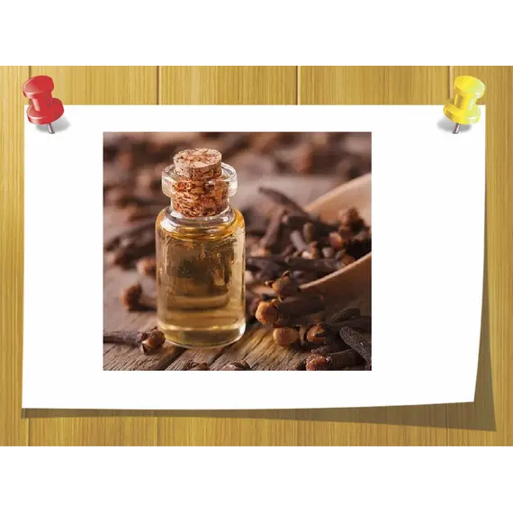 Абсолю Гвоздики