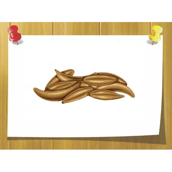 Ефірна олія Кумину (Cuminum cyminum), Об `єм: 5 мл