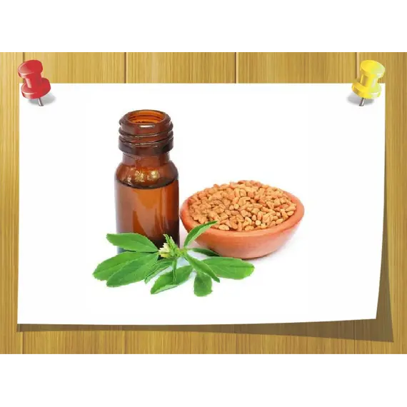 Абсолю Фенугрек