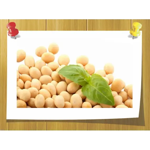 Гідролізовані протеїни сої (Hydrolyzed Soy Protein), Об `єм: 100 мл