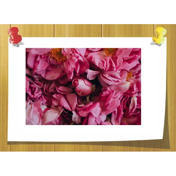 Isojasmone B11 (изо-жасмон), Volume, ml: 3 ml