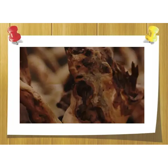 Javanol, Volume, ml: 2 ml 