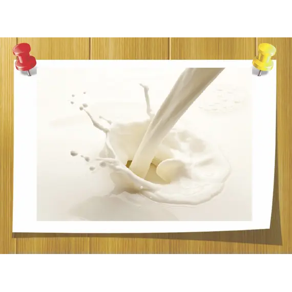 Молочные протеины, Вес: 50 гр