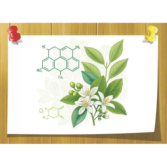 Scentenal 981810 Firmenich, Об `єм: 3 мл