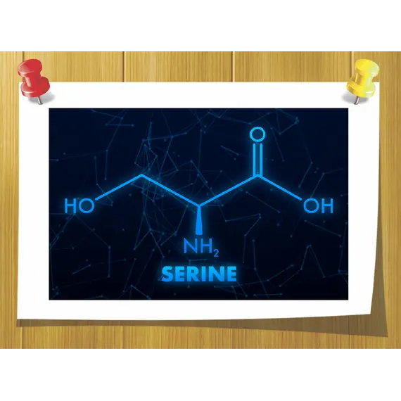Аминокислота Серин (L-SERINE), Weight: 10 гр