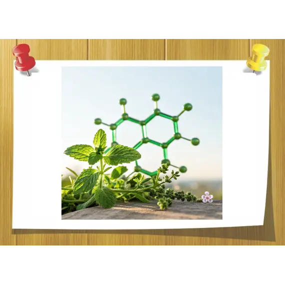 Stemone, Об `єм: 3 мл