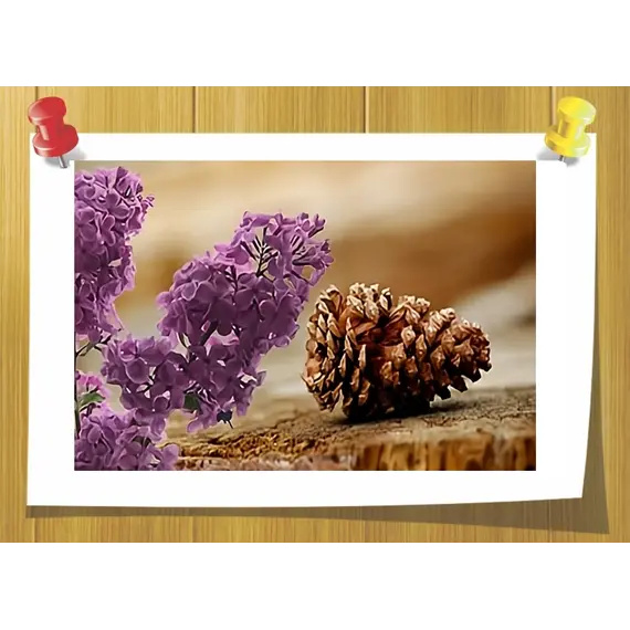 Terpineol, Об `єм: 5 мл