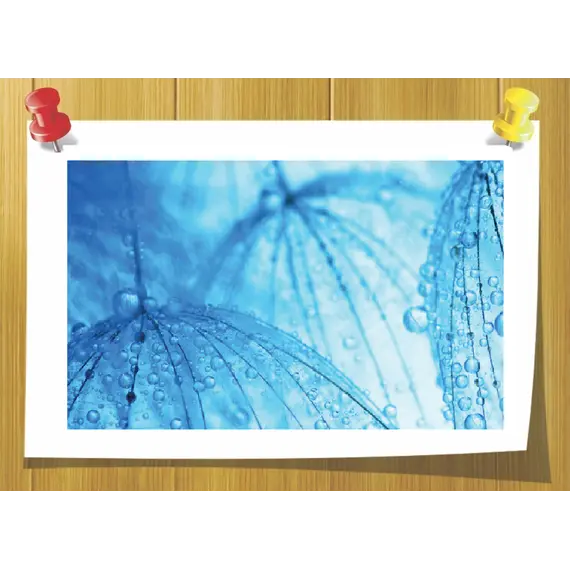 Trealix (Треалікс) - трегалоза і протеїни рослинного походження, Volume, ml: 25 ml