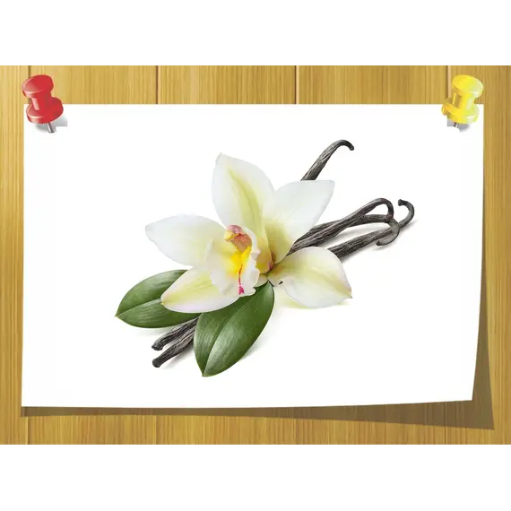 Ваниль абсолю, Вага: 2 гр