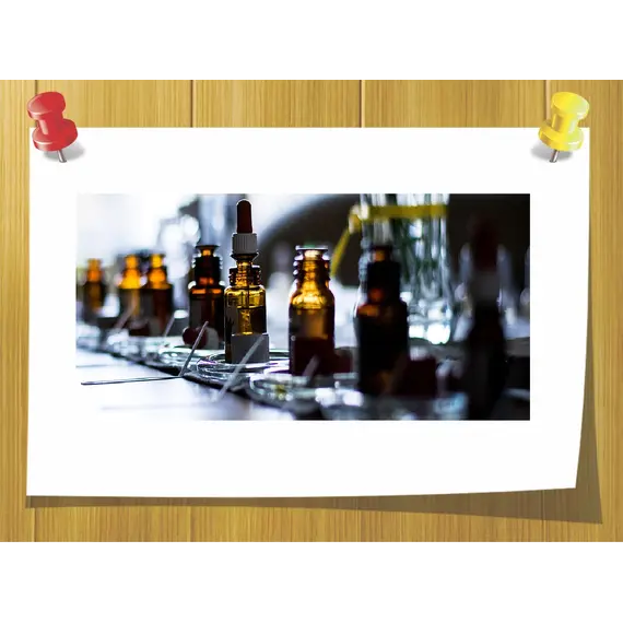 Мастер-класс  Основы Парфюмерной композиции на СДВ