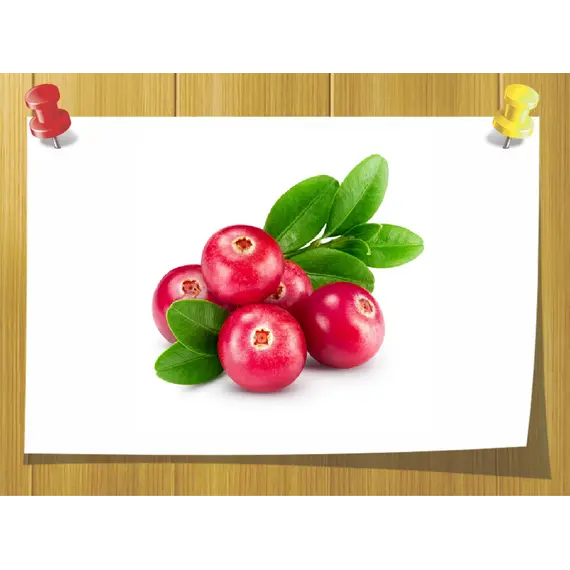 Экстракт ягод Клюквы жидкий, Volume, ml: 10 ml