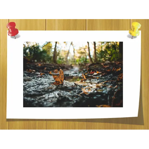 Аккорд Влажной Земли, Объём, мл: 3 мл