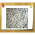 Эмульгатор Planta M