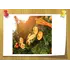 Аромаолія Hollyberry Garland
