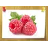 Малины кетон (raspberry ketone), Weight: 15 гр