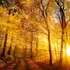 Аромаолія осіннє сяйво Autumn Glow, Об `єм: 5 мл, Сезонность: Осень, Концентрація: 100% Pure