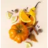 Аромаолія Autumn Spice & Pumpkin Patch (Осінні спеції та гарбузовий патч)